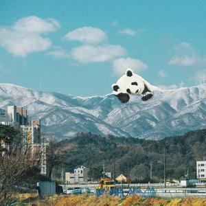 女人帮男人手交视频
